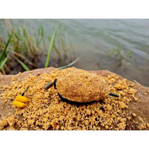 Momitor FeederX Wild Carp Method Feeder 6